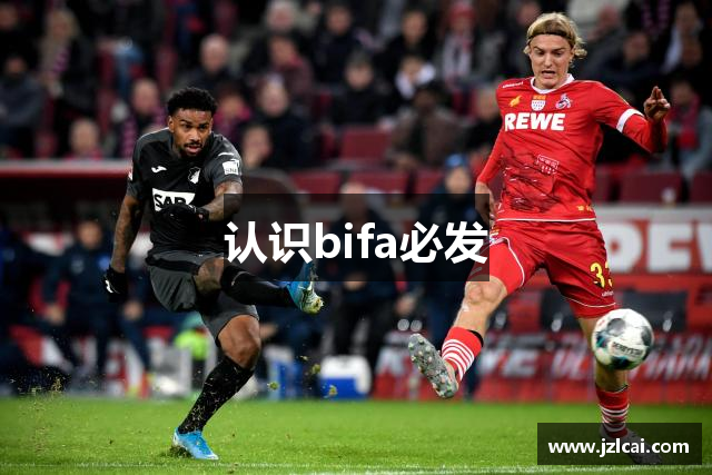 认识bifa必发